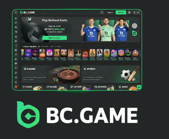 Exploring the BC.Game Mirror Mobile App A Gateway to Online Gaming
